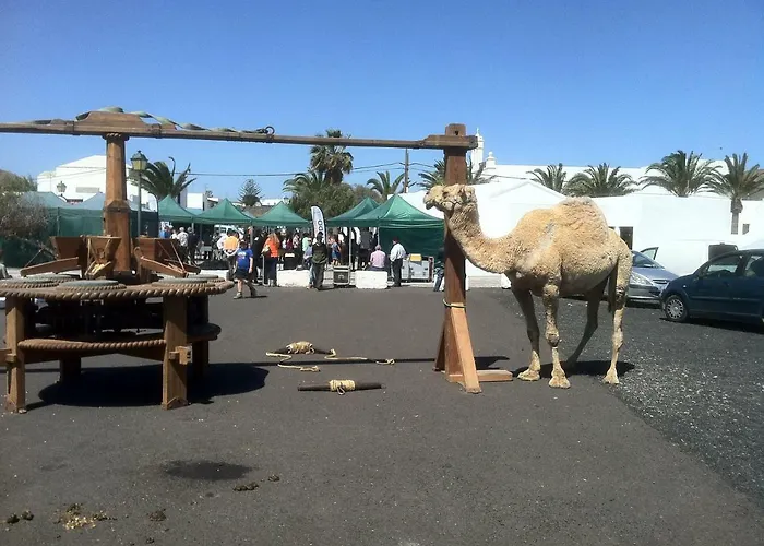 La Летний дом Уга