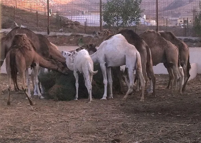 Casa di campagna La Uga