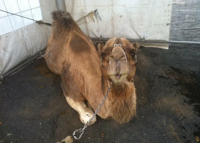 Летний дом La Уга