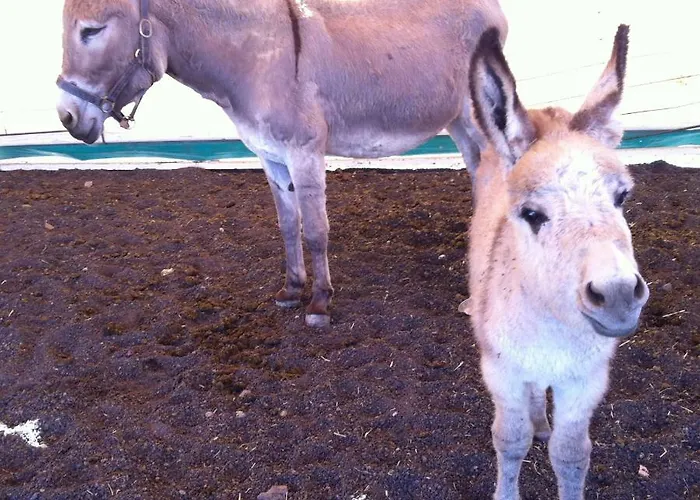 La Летний дом