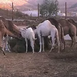 منزل ريفي La Uga