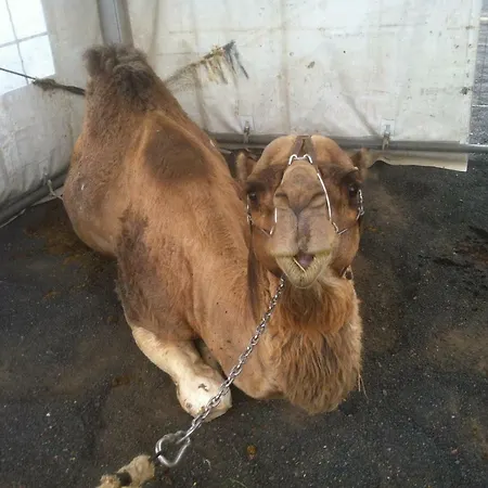 Летний дом La Уга