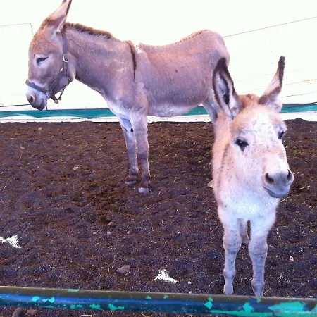 La Летний дом